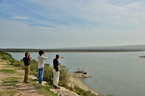 De Hoop Collection