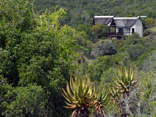 Hotel Burlington Bush Cottages