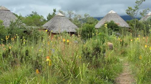 Inkosana Berg Lodge