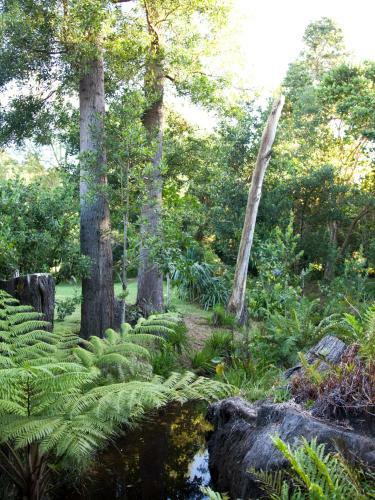 Hostal Andelomi Nature's Rest