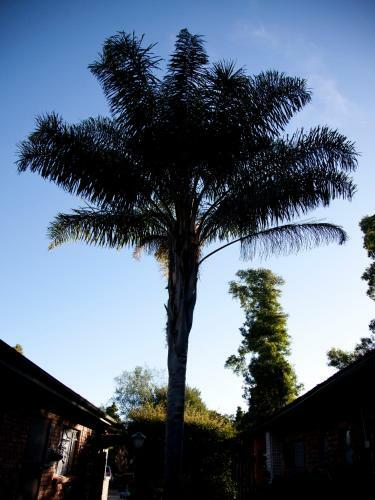 Hostal Andelomi Nature's Rest