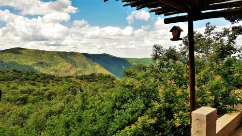 Lodge Graceland Eco Retreat
