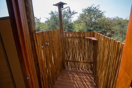 Lion Tree Top Lodge