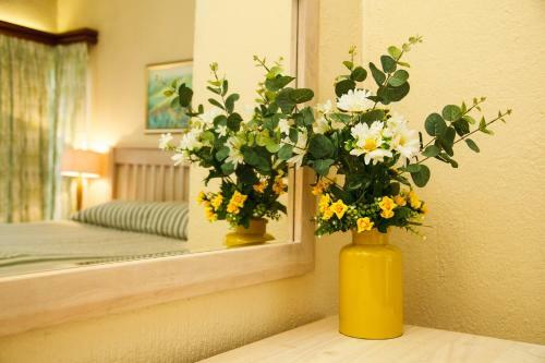 Mount Sheba Rainforest Hotel & Resort