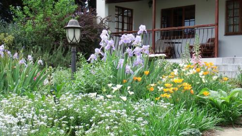 Hostal Glen Ormond