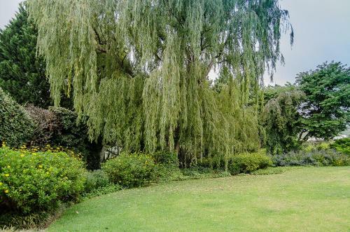 Hostal Glen Ormond