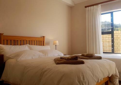 Bed & Breakfast Dream @ Dolphins