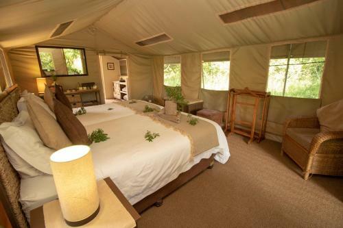 Tembe Elephant Park Lodge