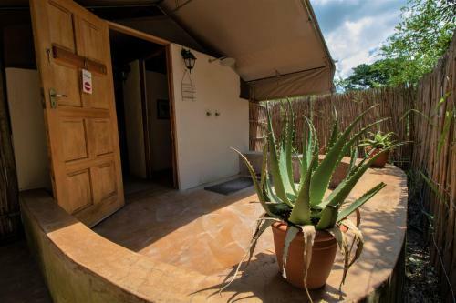 Tembe Elephant Park Lodge