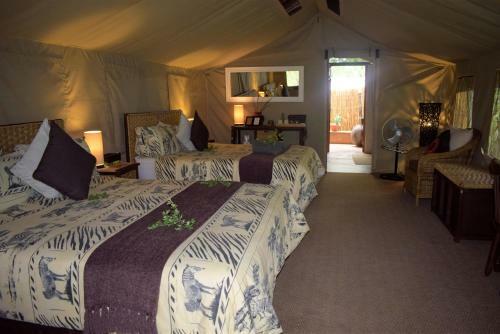Tembe Elephant Park Lodge
