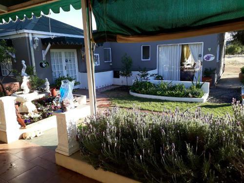 Hostal Jasmine Cottage