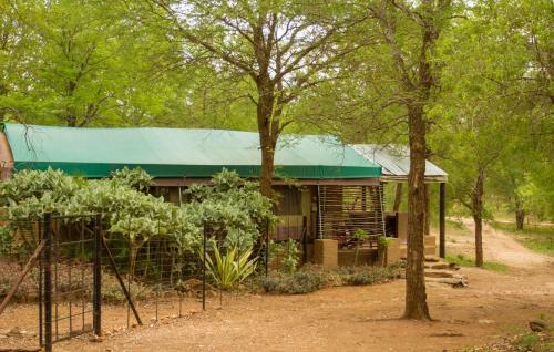 Mafigeni Safari Lodge