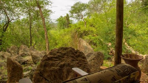 Mafigeni Safari Lodge