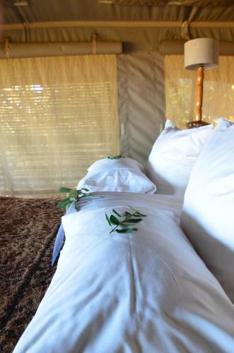 Hotel Thulani Game Lodge & Eco Estate