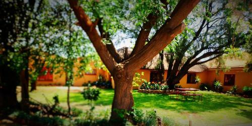 Bed & Breakfast A.j.m Accommodation