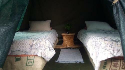 Albergue Dijembe Backpackers Lodge