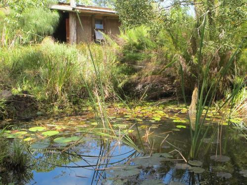 Albergue Dijembe Backpackers Lodge