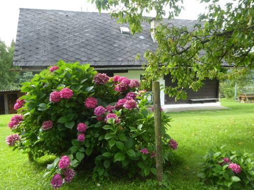 Ferienhaus Koglegg