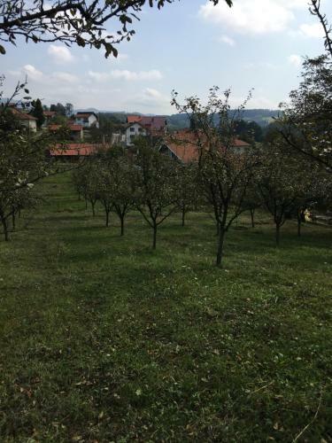 Luxeri�se Villa Mit Bergblick
