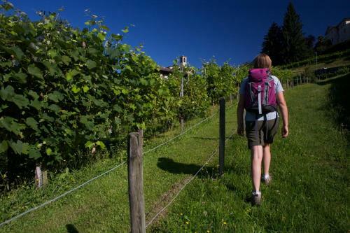 Bed & Breakfast Ca' San Matteo