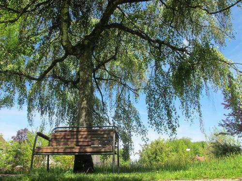Hostal Burgb�hl