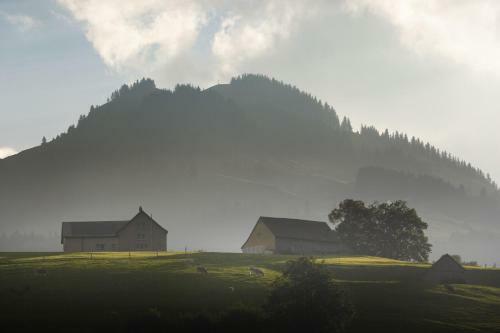 Weissbad Lodge