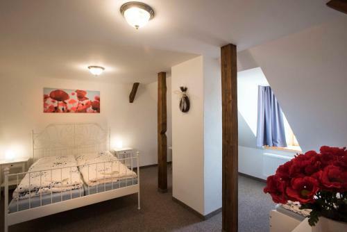 Hostal Z�mek Libou?