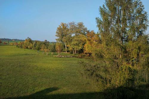 Hostal Z�mek Libou?