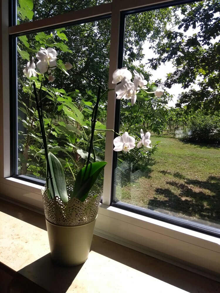 Hotel G�stehaus Eschment