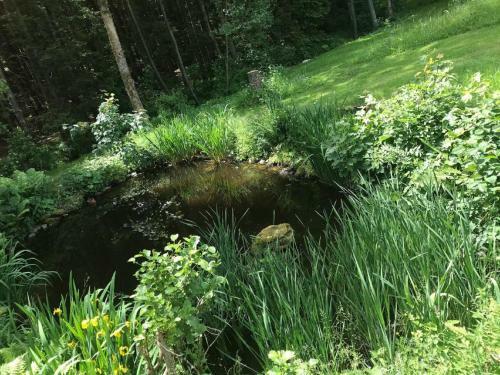 Apartamento Ferienwohnung Hubertus