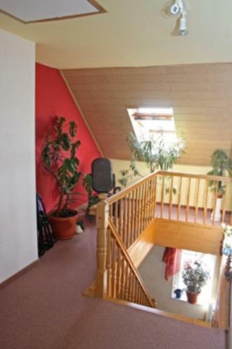 Hostal Pension Scherzer