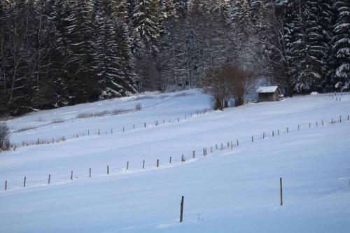 Chalet Leithenwald