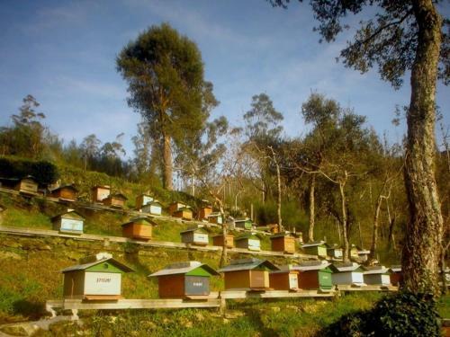 Hotel Pesqueria Del Tambre