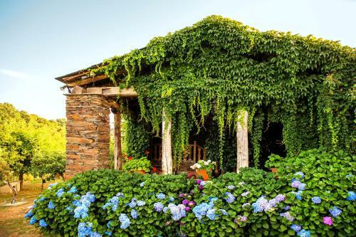 Hotel Casa De D�az