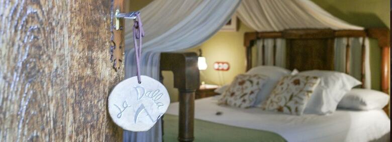Hotel Cal Paller