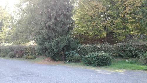 Apartamento Pyrenees Resort