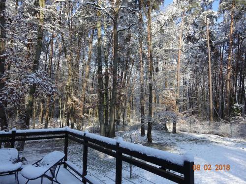 Bed & Breakfast L'albiziane - Maison D'h�tes
