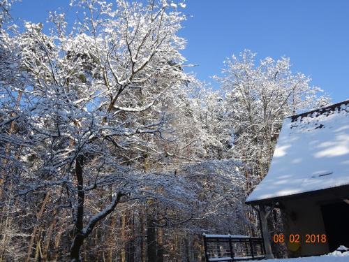 Bed & Breakfast L'albiziane - Maison D'h�tes