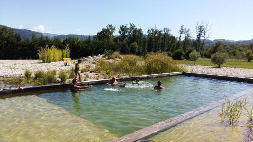 Bed & Breakfast Domaine Les Hirondelles