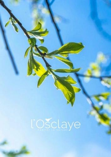 L'osclaye