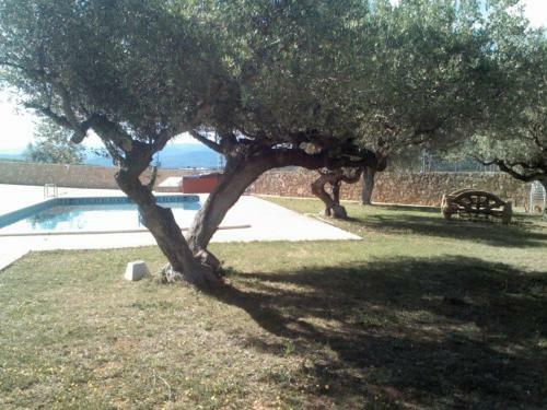 Hotel L'ermita Casa Ripo