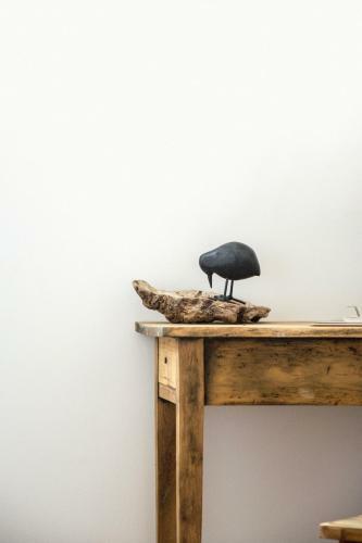 Le Roi Des Oiseaux