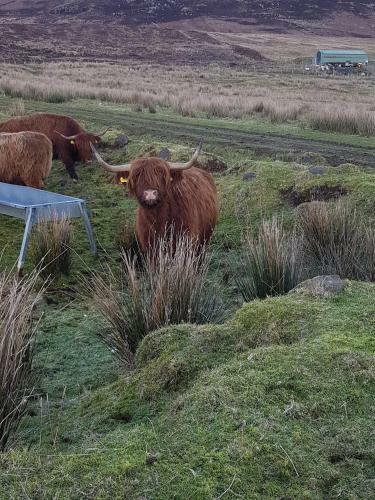 Trotternish B&B