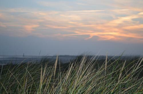 La Rye Vita