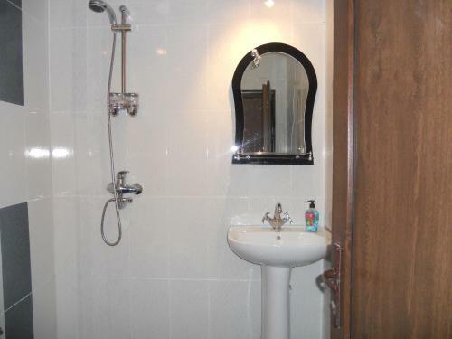 Hostal Guesthouse Borjomi