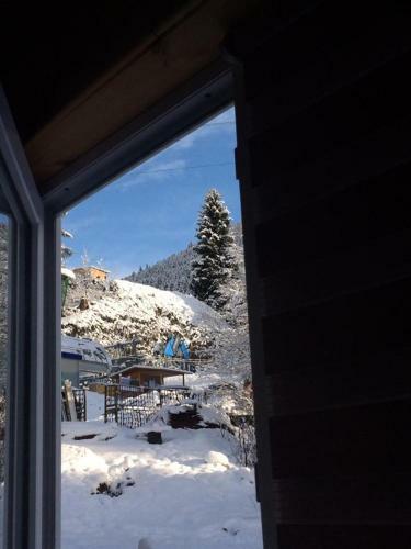 Hostal Cottage Shgedi