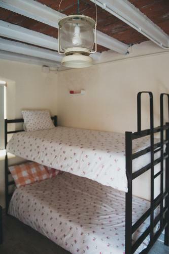 Hostal Alamar Surf House