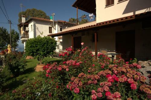 Apartamento La Luna