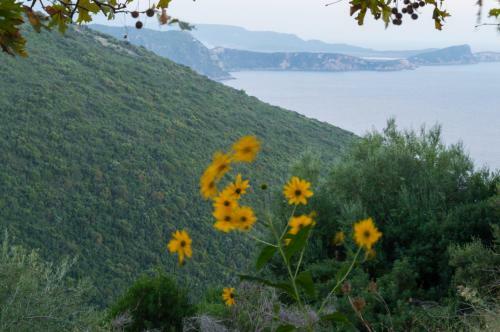 Apartamento Studios Evgenia Parga