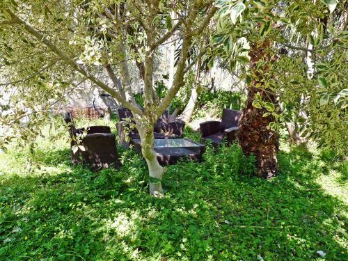 Apartamento L' Odyssee